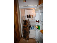 ���� � ������������.jpg