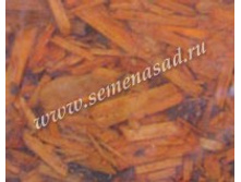 ���� ������������ (�������)(50�).jpg