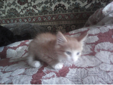 IMG 20160116 104835.jpg