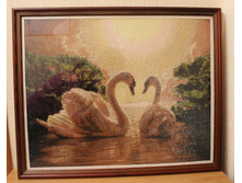 56a08c83a44e5 img1836.JPG