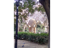IMG 20160109 150725 HDR.jpg