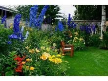 ����������� � ����.jpg