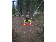 ���������� ����������