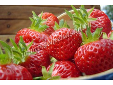 ��������� ������� ������.jpg