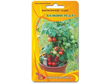 ����� ������������ ��������� ���� ������� ��� F1. 15 ��. 18 ���.jpg