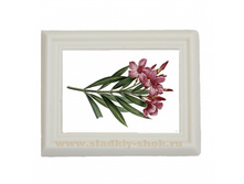 ���������� �������� "������" 80�� � 100��, ���. ���-028�