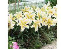 ����� ���� ���� ���. ����2.jpg