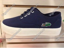 15065 ���� �� ��������� � ����� Lacoste �����-����� -390 ���.jpg