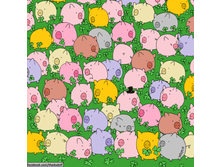 ������ ��������������� �����.png