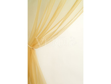 ��������� ����.jpg