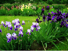 ����� � ���� ��������� ���2