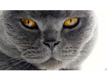 ������� ���� ������ �� ����� ������!