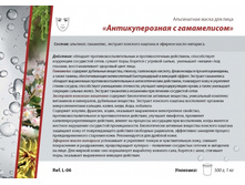 ����� �������������� � ������������