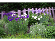 ����� � ����5.jpg