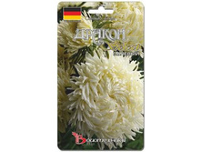 ����� ��������� ����� ������ ������ �������. 100 ��. 16 ���.jpg