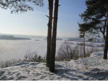 IMG 4521.JPG