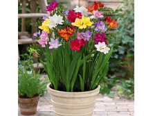 ������ �������� ����� ���. ����3 (2).jpg