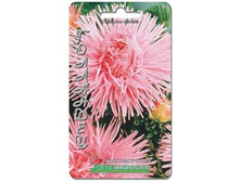 ����� ��������� ��������� ���������. 70 ��. 9 ���.jpg