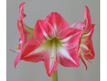 ��������� �������� (Exposure) ���-�� � �������� 1 ��., ���� �� �������� 249 ���..jpg