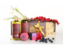 ������� "������� �����"