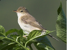 �������� ���������.jpg