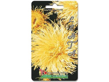 ����� ��������� ��������� �����. 70 ��. 9 ���.jpg