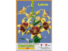 ����� Latvia  ��� 10 �� ���� 47� �� 1 ��