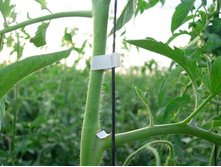 ����� ��� �������� �������� ���. ����5.jpg