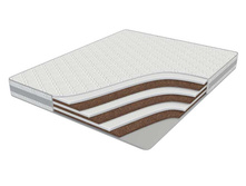 ������ �����