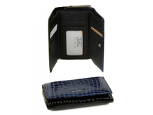 ������� Rose Series-2 ���� dr.Bond WS-5 black-blue 819 ���.jpg