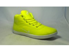 Phoca thumb m 5482 29.jpg