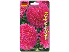 ����� ��������� ����� ��������� �������. 40 ��. 20 ���.jpg