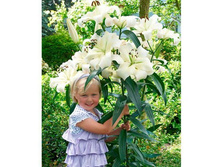 ����� ���������� ���. ����3.jpg