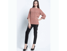 Chilps-FW-14C ������-�.������� �����.GIF