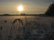 IMG 5859.jpg