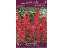 �������� ����������� (Düsseldorf) ���-�� � �������� 1 ��., ���� �� �������� 69 ���..jpeg