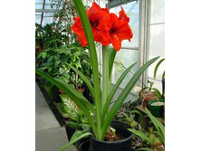 ��������� ����2.jpg