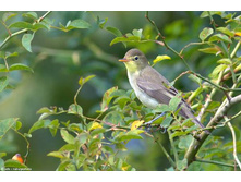 ������� ����������.jpg