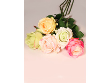 401/0330P ����