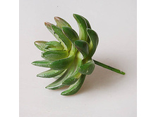 ��������� 42303-4 168�.jpg