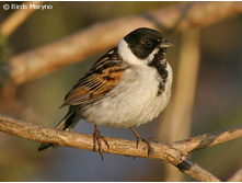 ��������� �������.jpg