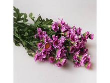 ���������� �������� ����������, 91239 200�.jpg