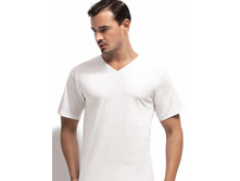 PD FANILA V-NECK 1004 �������� 184� (������ ���� 210)
