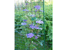 ��������� (8).JPG