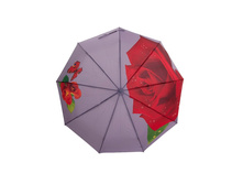 ���� ������� ������� W 16062Rose-3 990 ���.jpg