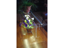 ��������� ��������� ����� ����������. 4999 ���.jpg