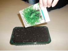 2. ���� ������ � �����.