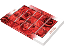 0253_����� ������� �������� ����� ���� 75�_97 ���. ����