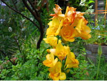 ������ �������� ������ ���. ����.jpg