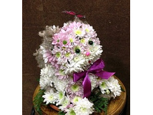 �������-004